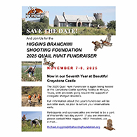 Higgins Branchini Shooting Foundation